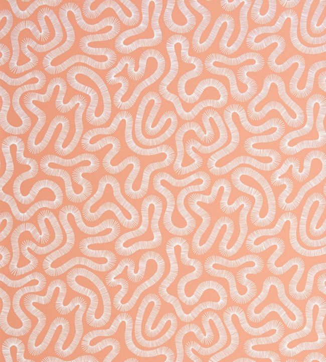 Coral Wallpaper by MissPrint Peach Blush