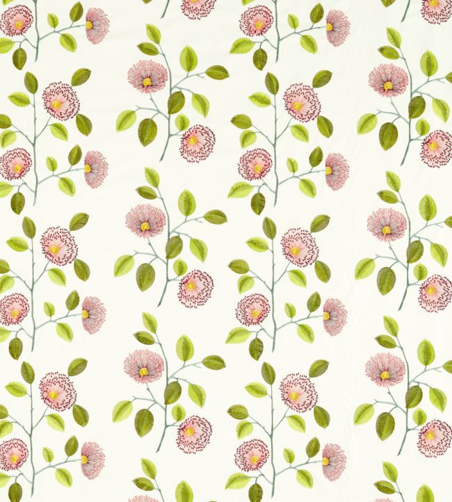 Monique Fabric by Clarke & Clarke Summer