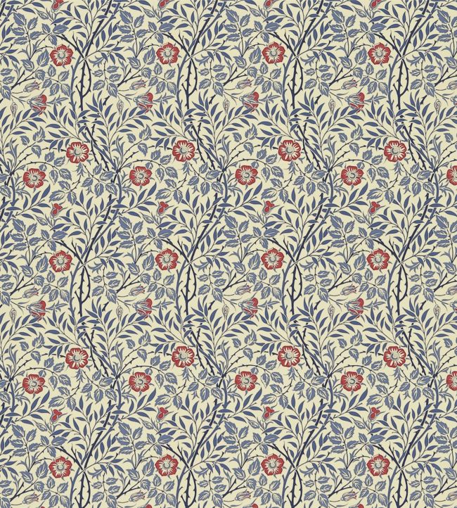 William Morris Design Sweet Briar Rose Tissu de coton 40 x 50 cm environ 