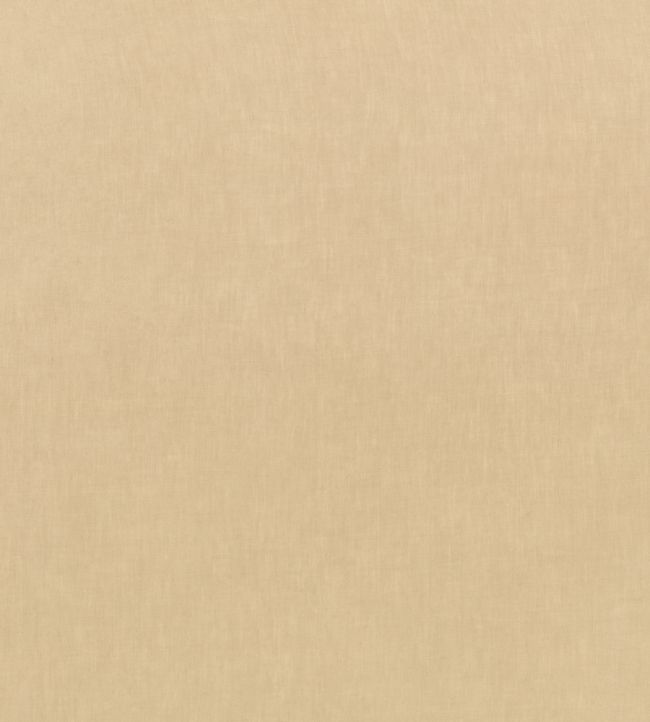 Motion Fabric by Kirkby Design Desert