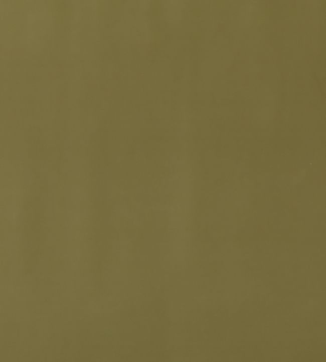 Mulberry Velvet Fabric by Mulberry Home Sage