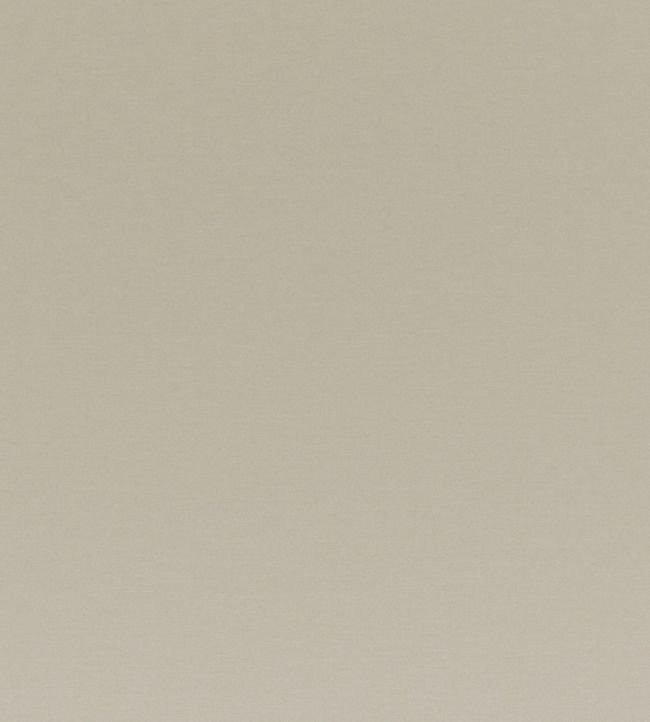 Nabis Fabric by Wemyss Champagne