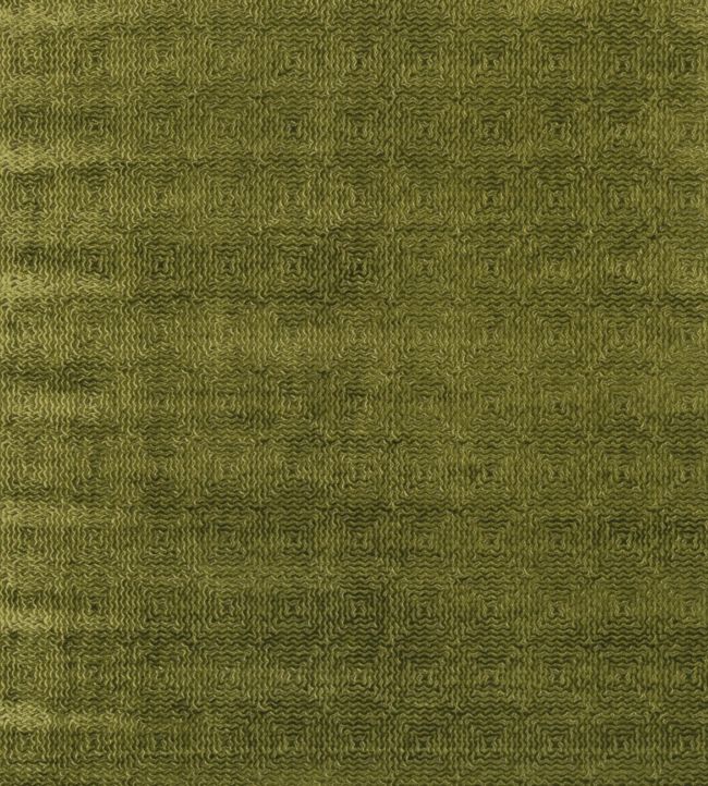 Mourlot Velvet Fabric by Nina Campbell in GREEN Jane Clayton
