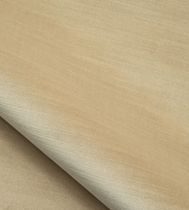 Velours Calder Fabric by Nobilis 5