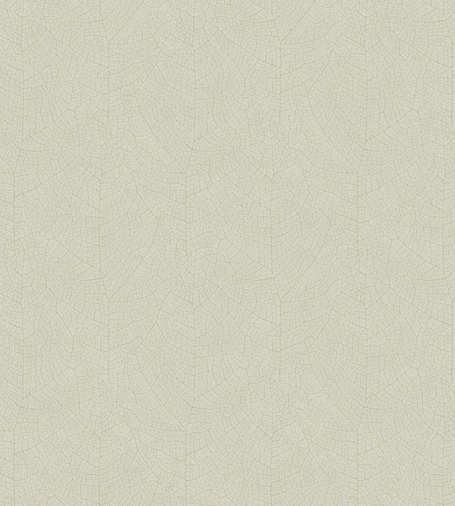 Nola Wallpaper by Casadeco Vert D'eau