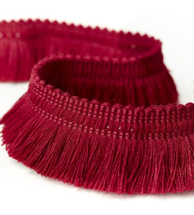 Norton Fringe Trimming by Sanderson Cranberry