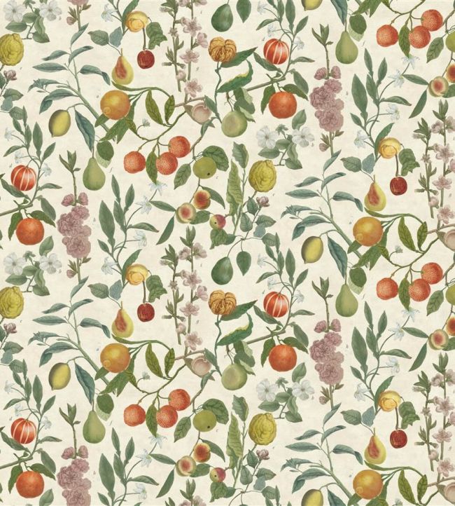 Orchard Fruits Fabric by Designers Guild Parchment