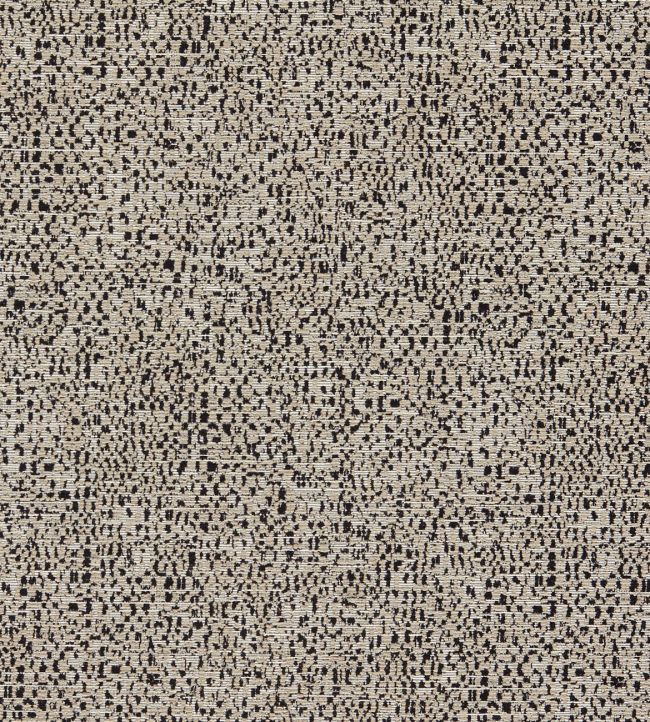 Orion Fabric by Clarke & Clarke Noir