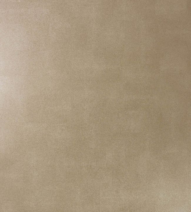 Zingrina Wallpaper by Osborne & Little in Metallic Gold Jane Clayton