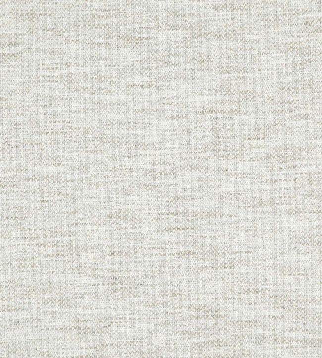 Skomer Fabric by Osborne & Little 3