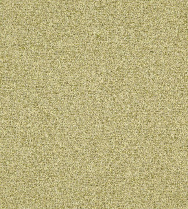 Skomer Fabric by Osborne & Little 102