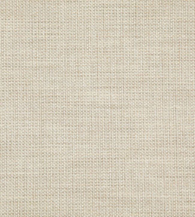 Skomer Fabric by Osborne & Little 306