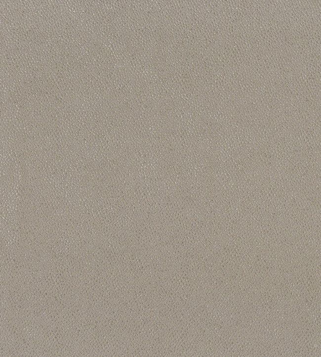 Langley Fabric by Osborne & Little Pale Taupe