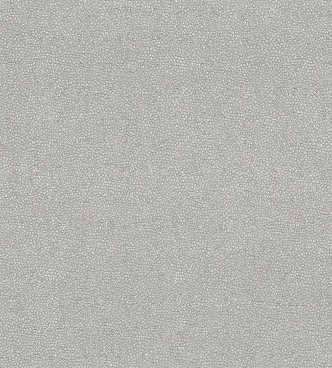 Langley Fabric by Osborne & Little Silver