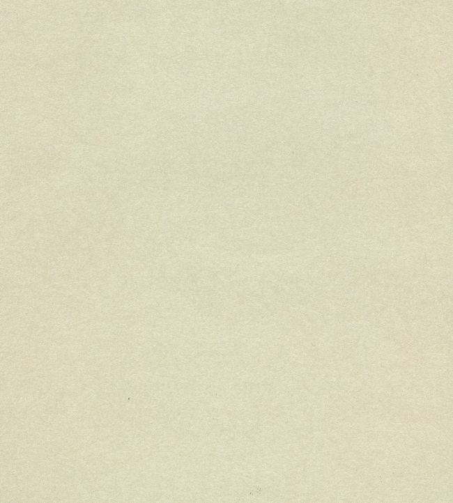 Quartz Wallpaper by Osborne & Little 14