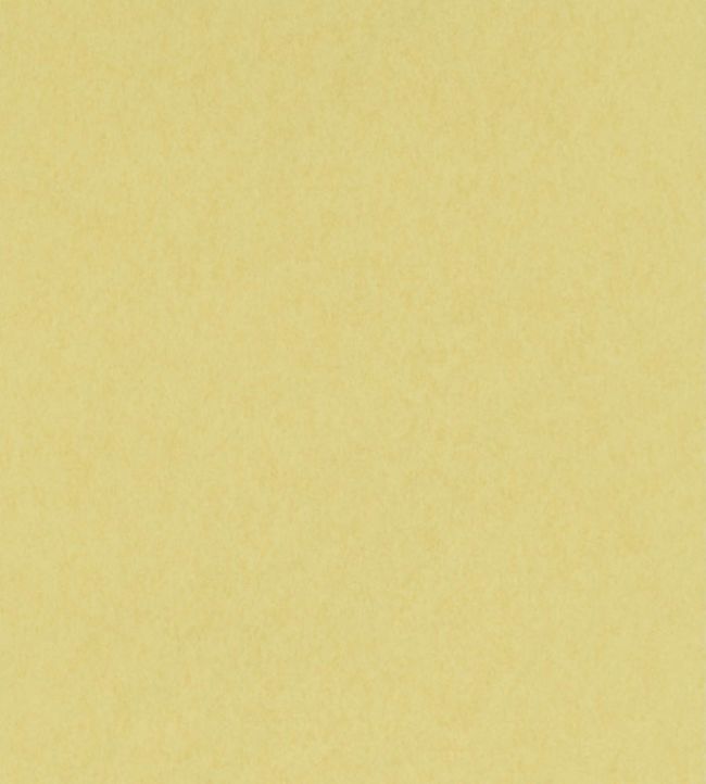 Chroma Wallpaper by Osborne & Little in 05 Jane Clayton