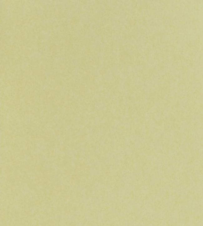 Chroma Wallpaper by Osborne & Little in 06 Jane Clayton