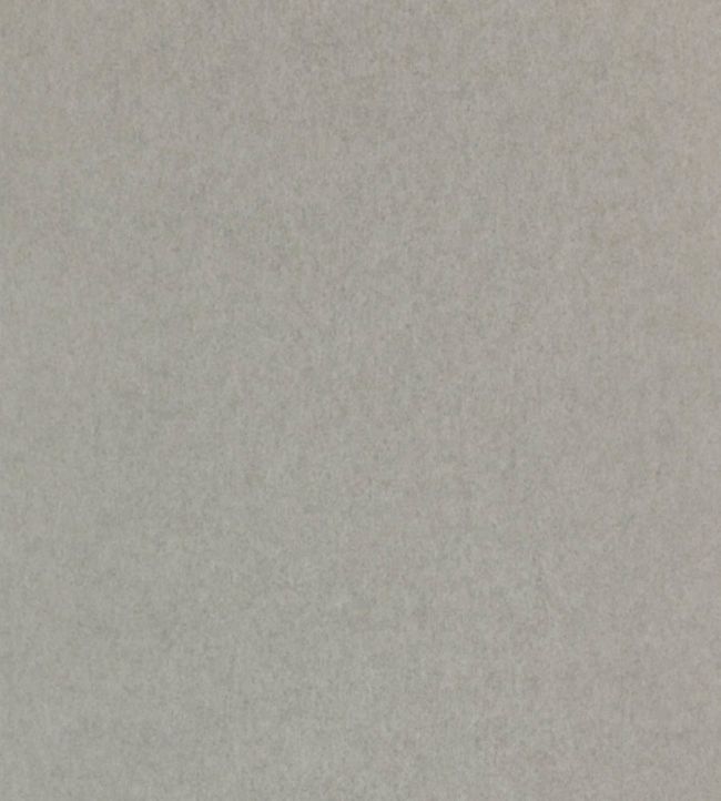 Chroma Wallpaper by Osborne & Little in 09 Jane Clayton