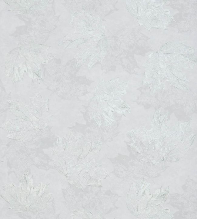Sycamore Wallpaper by Osborne & Little 3