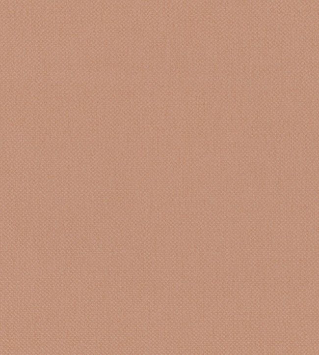 Oxford Fabric by Warwick Blush