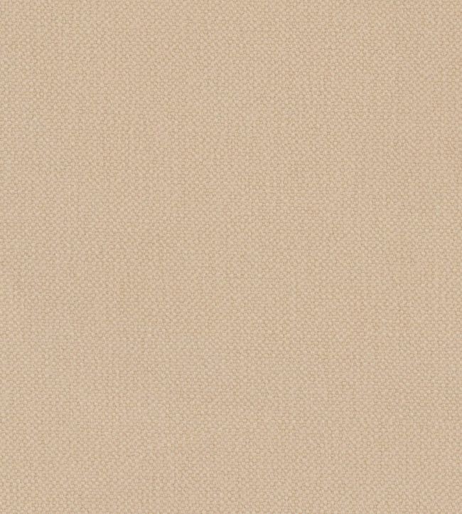 Oxford Fabric by Warwick Butter
