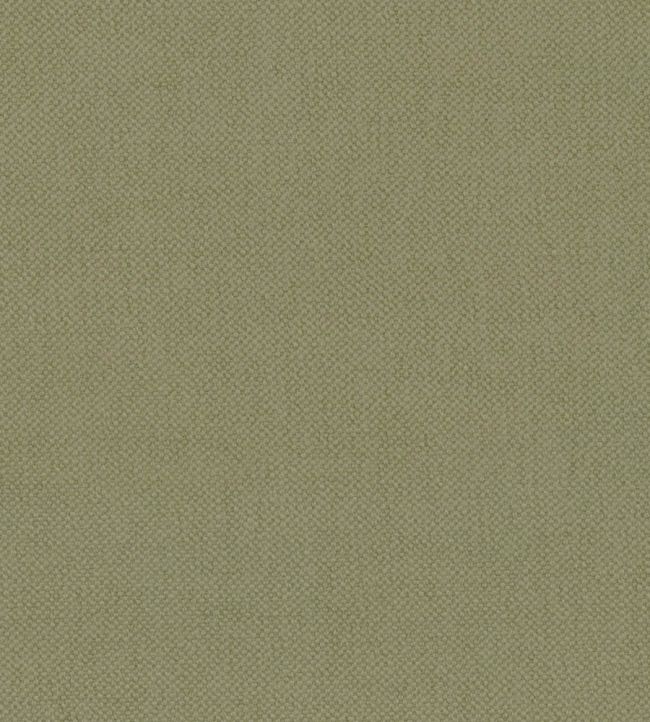Oxford Fabric by Warwick Celery