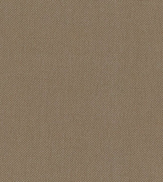 Oxford Fabric by Warwick Chino