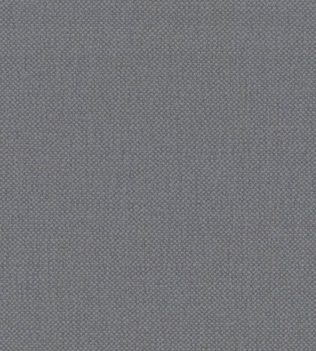 Oxford Fabric by Warwick Cloud