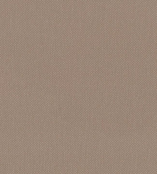 Oxford Fabric by Warwick Desert