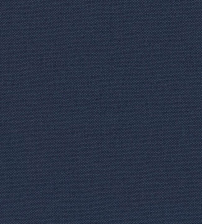 Oxford Fabric by Warwick Indigo