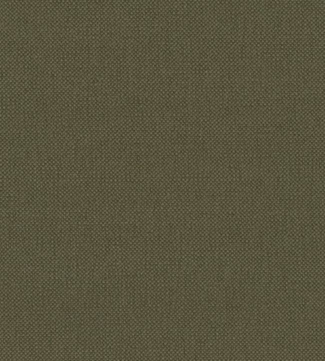 Oxford Fabric by Warwick Meadow
