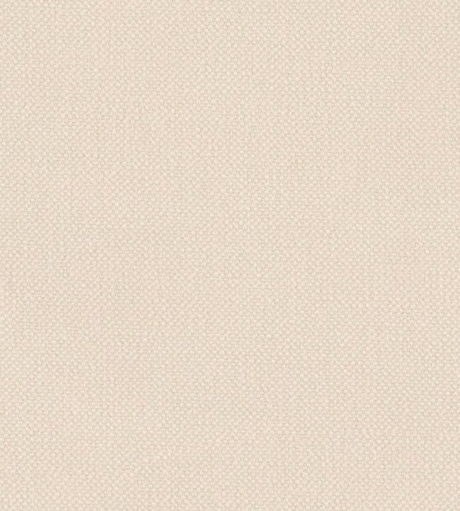 Oxford Fabric by Warwick Nougat
