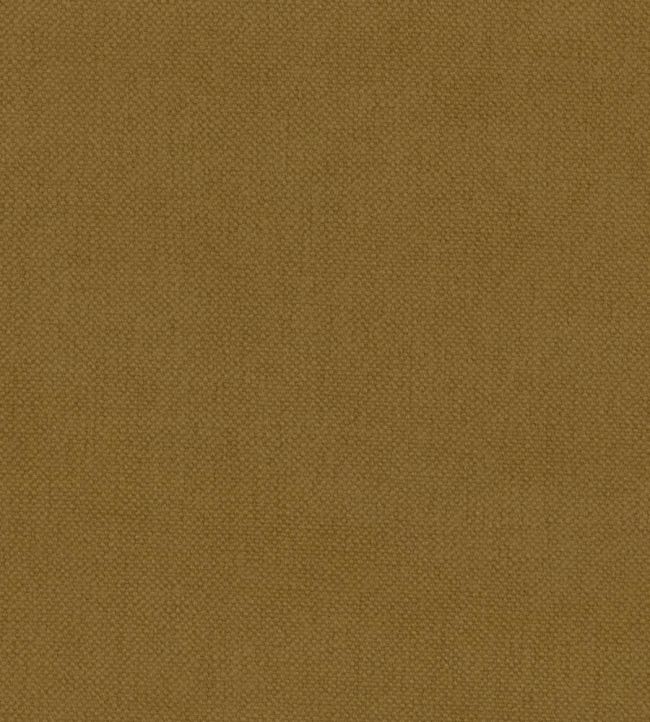 Oxford Fabric by Warwick Ochre
