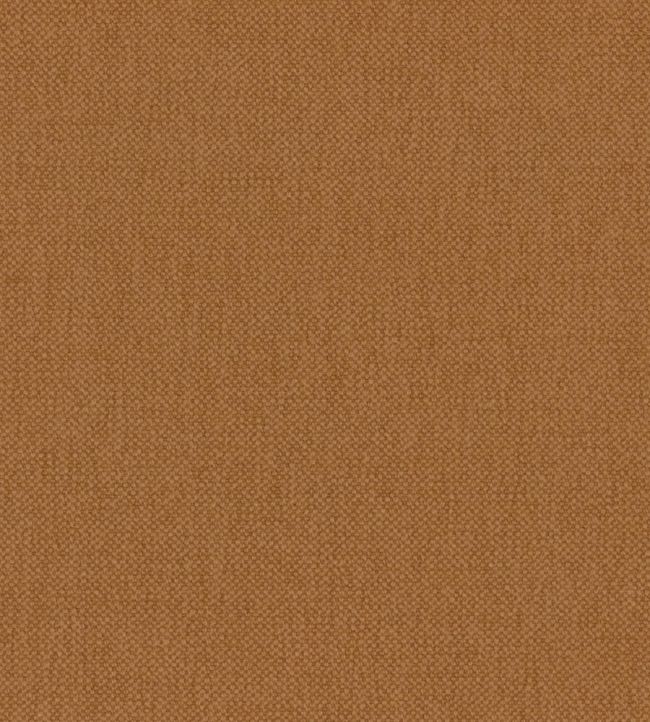 Oxford Fabric by Warwick Spice