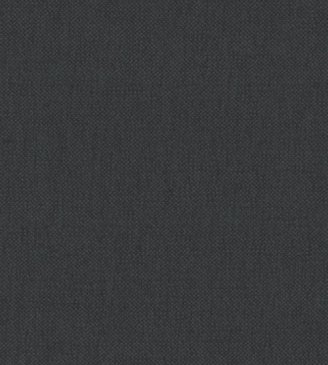Oxford Fabric by Warwick Thunder