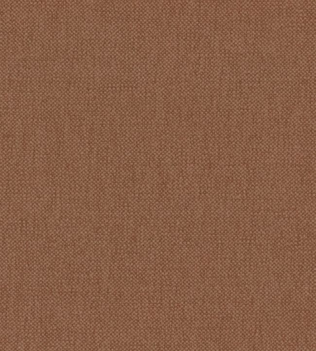 Oxford Fabric by Warwick Umber