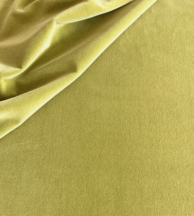 Palis Velvet Fabric by Ian Sanderson Asparagus