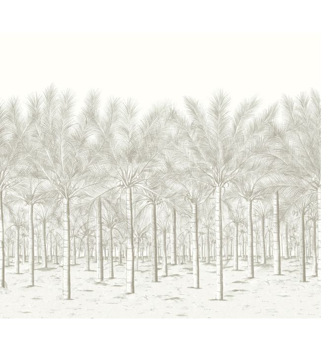 Palm Grove Mural by Thibaut Beige