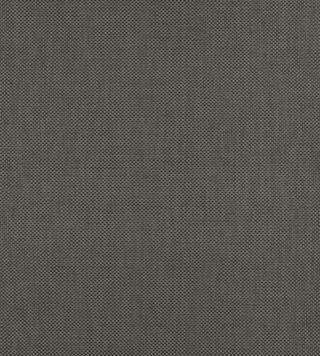 Panama Wallpaper by Mark Alexander gunmetal