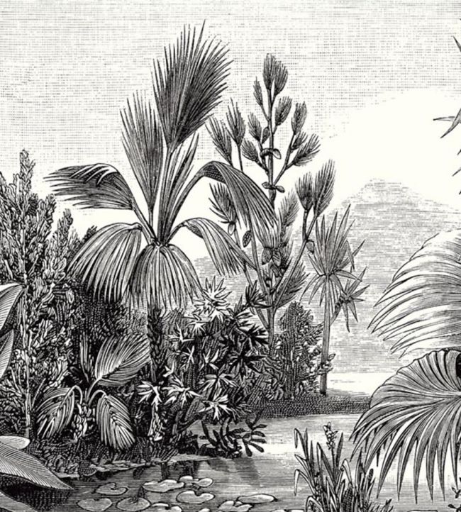 Balade Sauvage Mural by Caselio Noir et Blanc