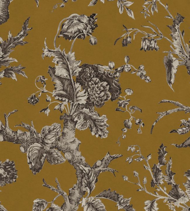 Paradiso Velvet Fabric by Warner House Honey