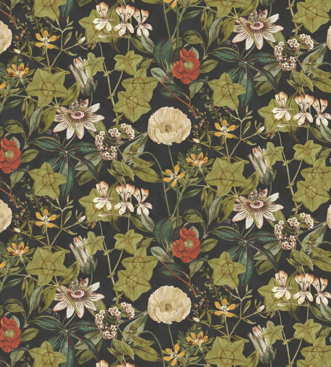 Passiflora Fabric by Clarke & Clarke Noir
