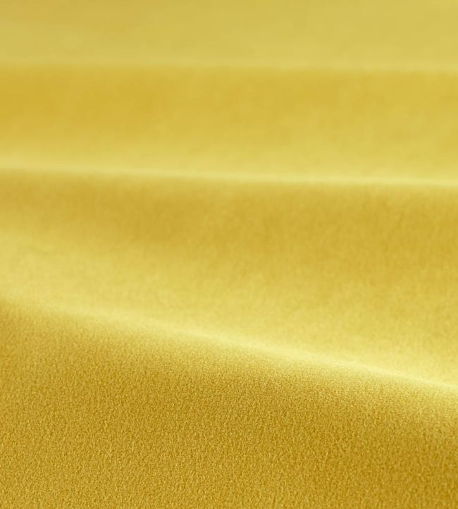 Performance Velvet Fabric by Harlequin Saffron