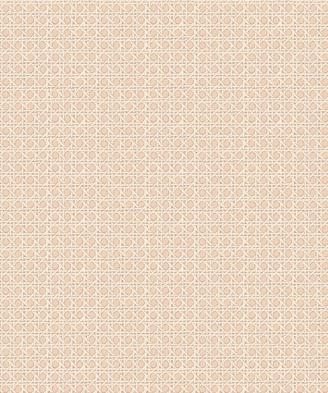 Petit Rattan Wallpaper by Madeaux 09 Blush