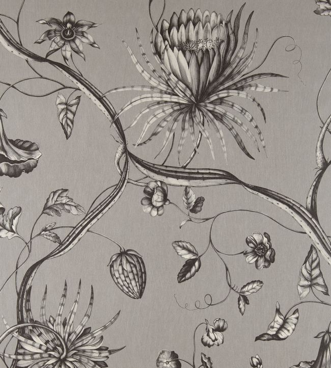 Phaedra Wallpaper in Silver by Zoffany Jane Clayton