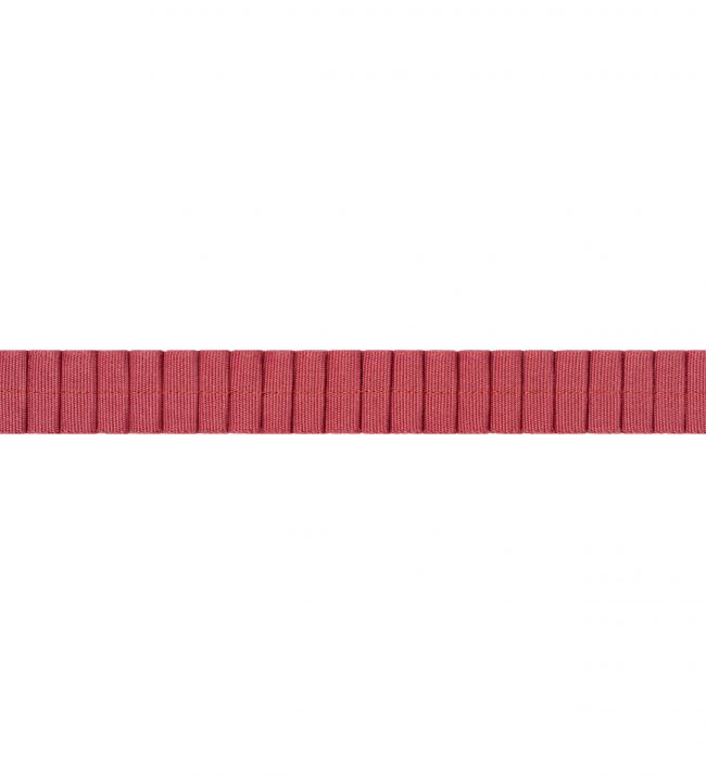Pleated Tape Trimming by Thibaut Cranberry