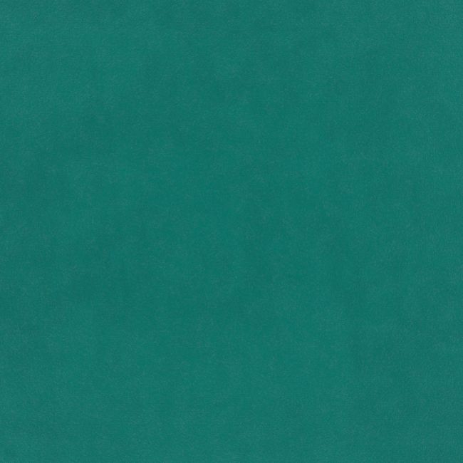 Plush Velvet FR Fabric by Warwick Atoll