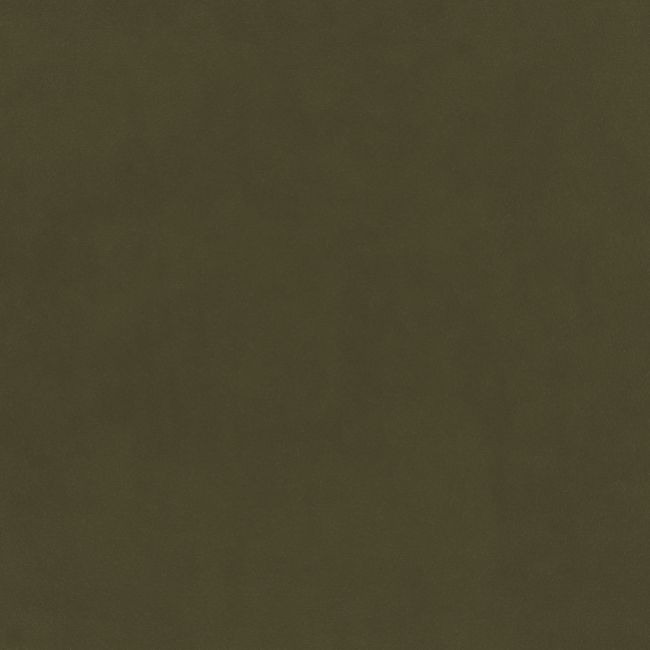 Plush Velvet FR Fabric by Warwick Fern