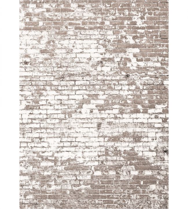 Poetic Wall Mural by Caselio Beige