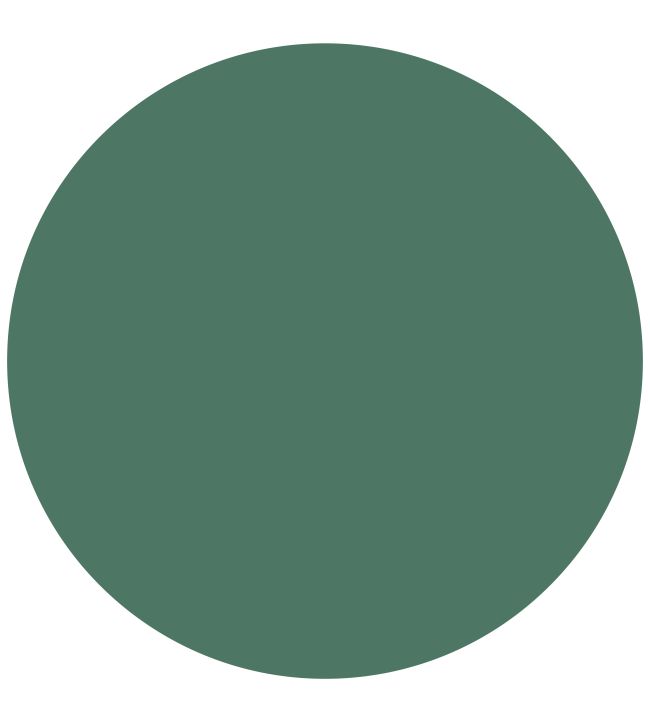 Zoffany Poison Elite Emulsion Paint Jane Clayton